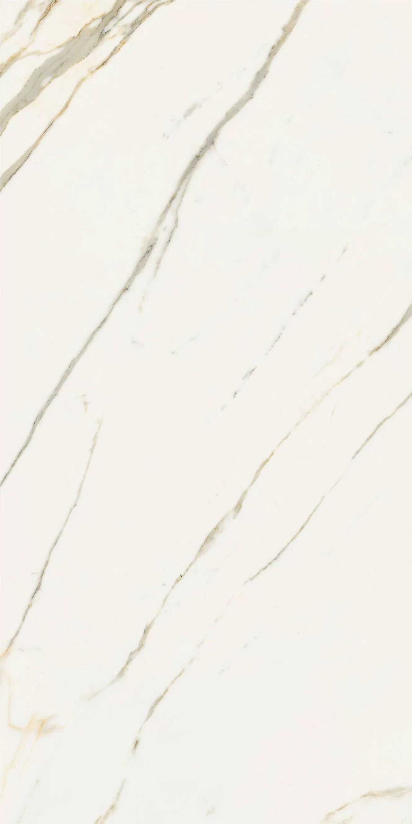 Керамогранит 610010002839 Stellaris Calacatta Gold Nat Ret 80x160