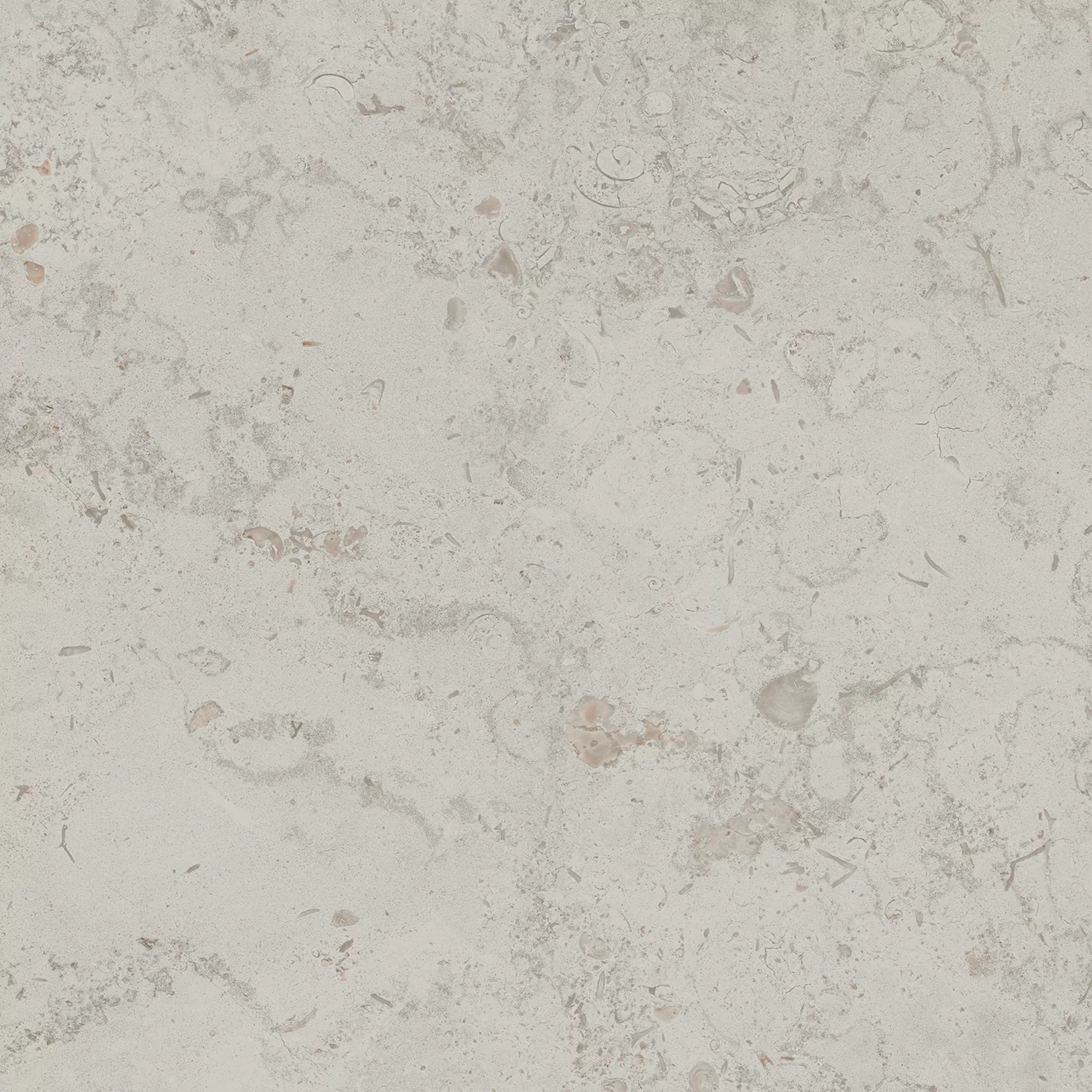 Керамогранит DD641000R Про Лаймстоун серый светлый натуральный обрезной R10 60х60