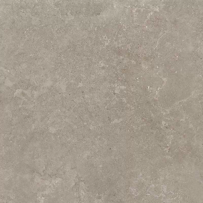 Керамогранит 8163 Shell DG 60х60