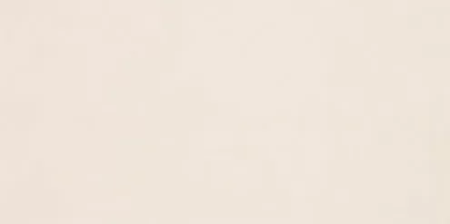 Плитка WADMB508 UP 20x40