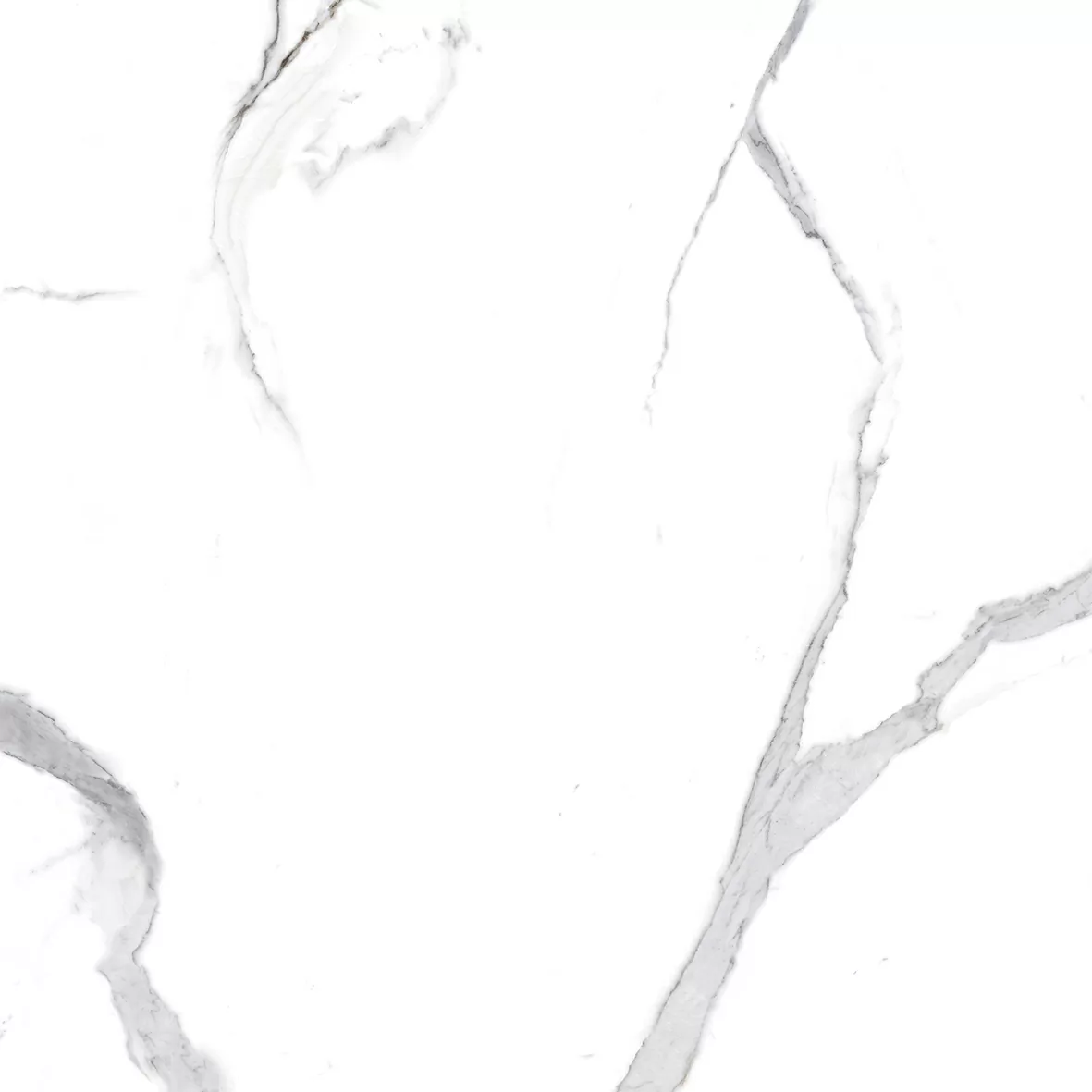 Керамогранит Calacatta Splendid Silver Белый Полированный 80х80