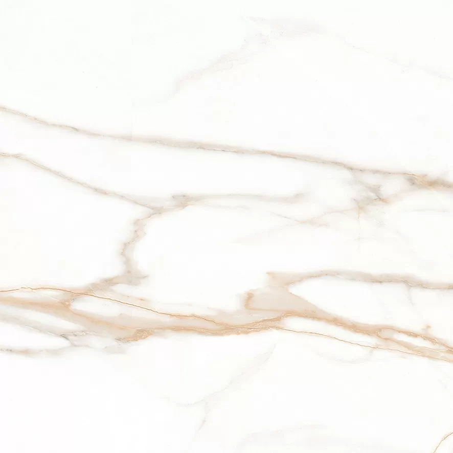 Керамогранит Calacatta Goddes Gold Белый Полированный 60х60