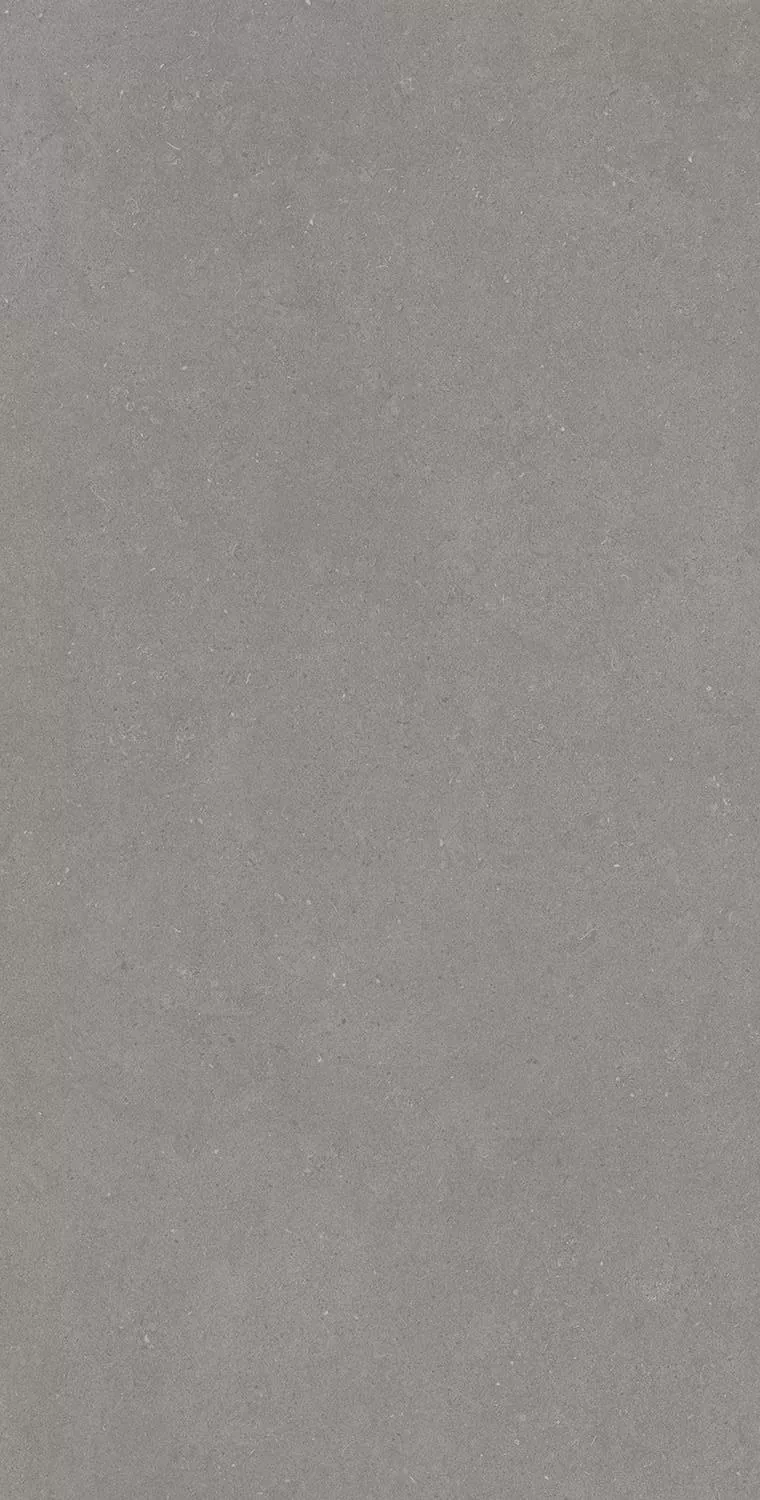Керамогранит Active Grey 120x240