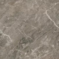Керамогранит 240116 MARBLE GRIGIO ONICE LAPPATO 2,7x2,7