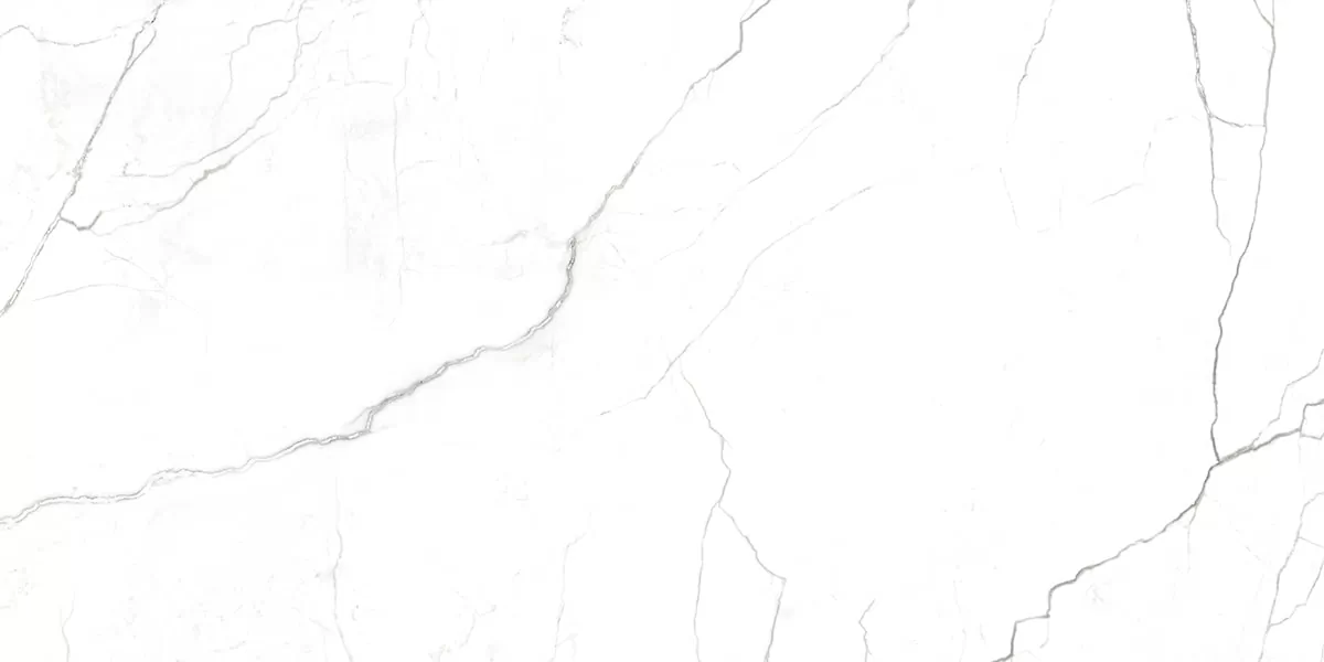 Керамогранит G391 Neiva Elegant MR 60x120