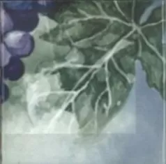 Плитка Monocolor Composicion Acuarela Uvas 20х40