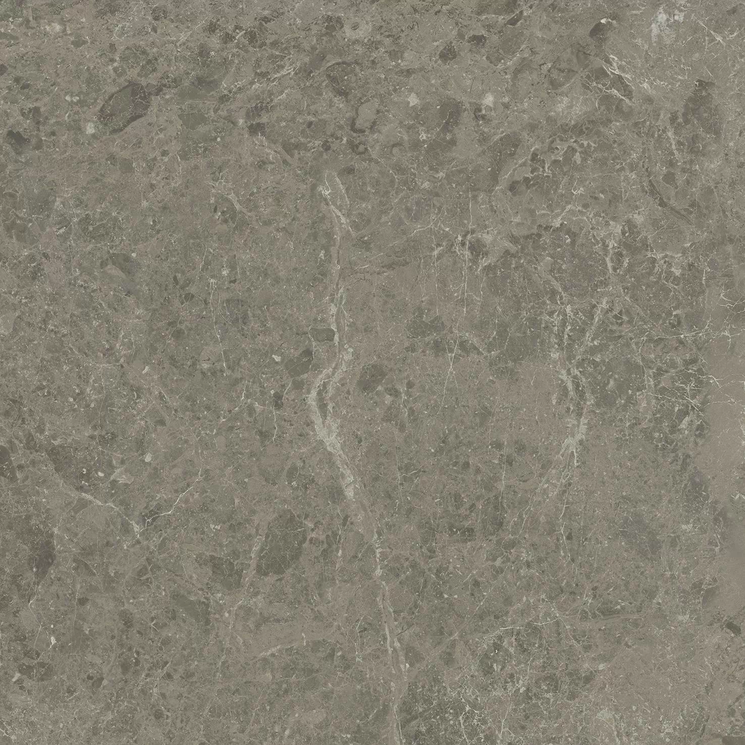 Керамогранит AJJD Marvel Meraviglia Grigio Elegante Matt 60x60