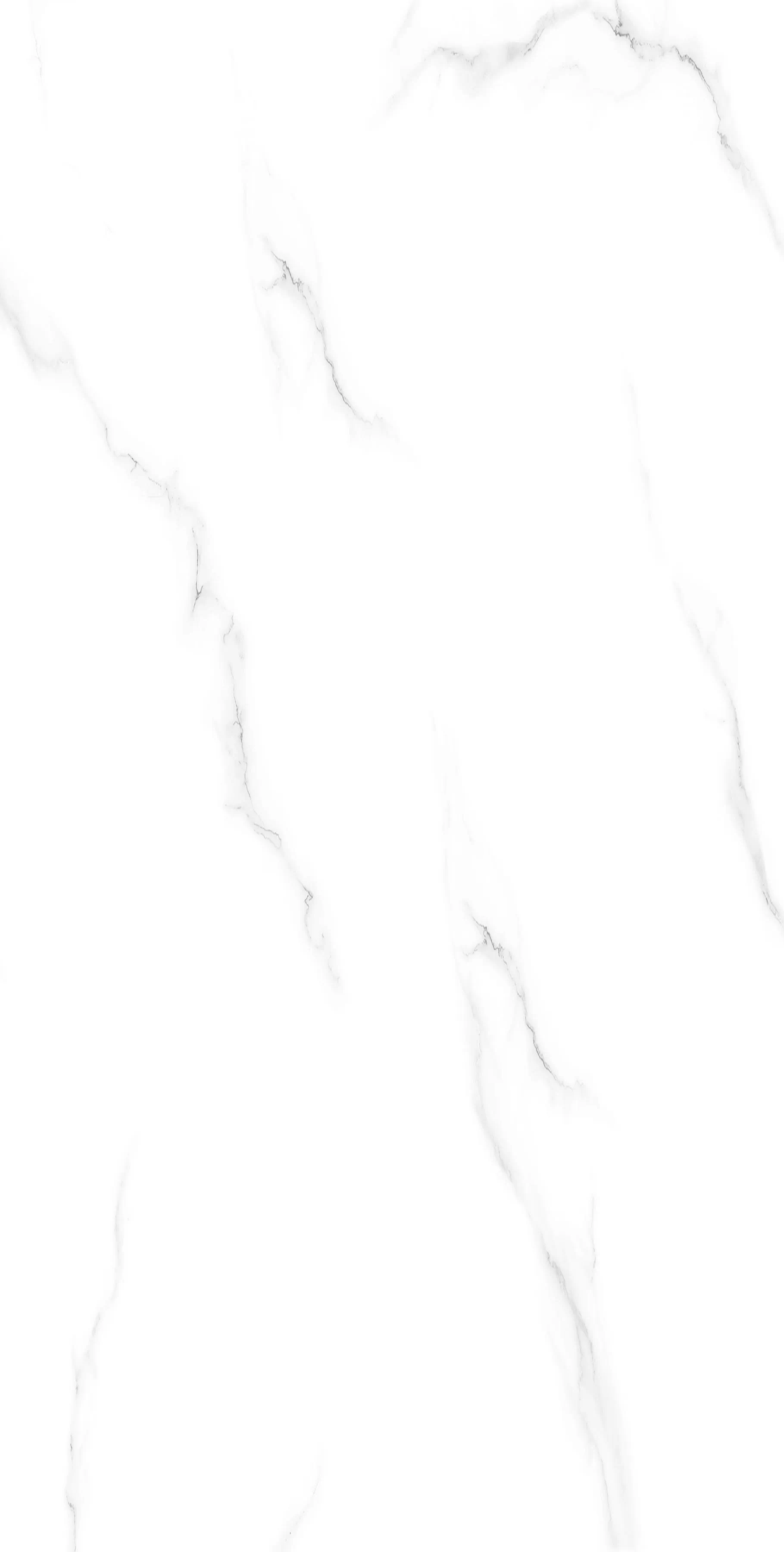 Керамогранит Staturio Grey 60x120