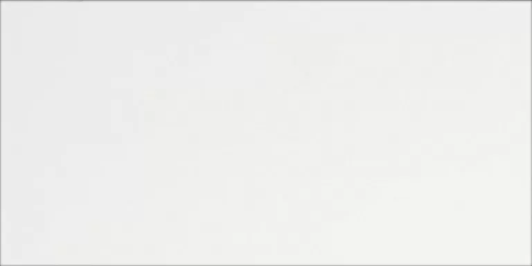 Плитка Blanсo Brillo 25x50
