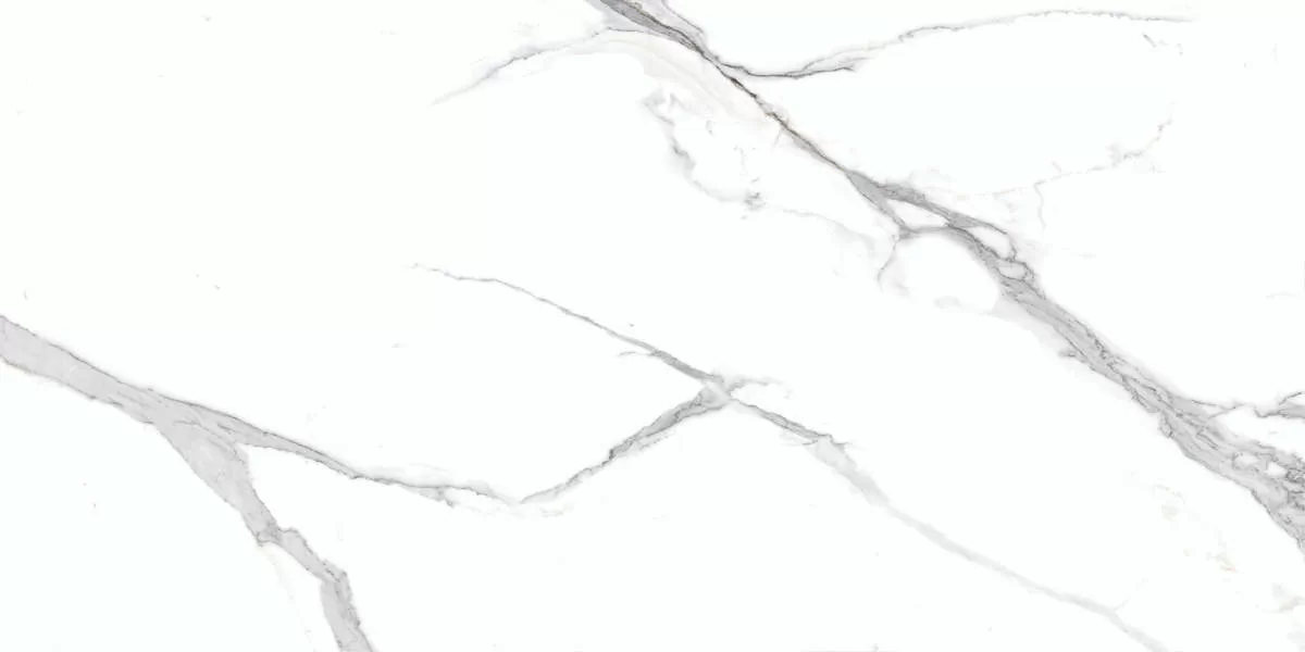 Керамогранит Calacatta Splendid Silver Белый Полированный 60х120