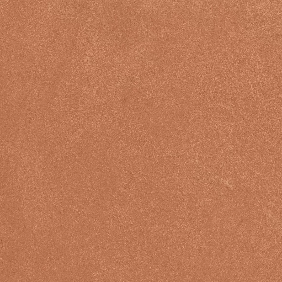 Керамогранит A037678 Argillae Coral Rect R10 60х60