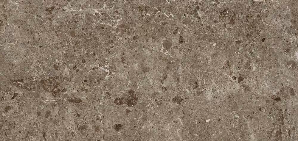 Керамогранит 78RC27P Coverlam Artic Moka Pulido 120x260