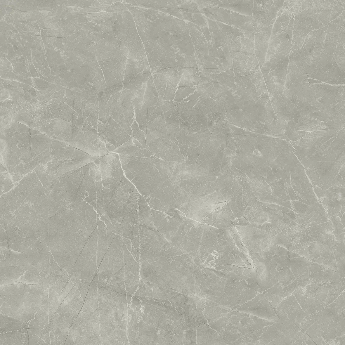 Керамогранит Wolf Grey 80х80