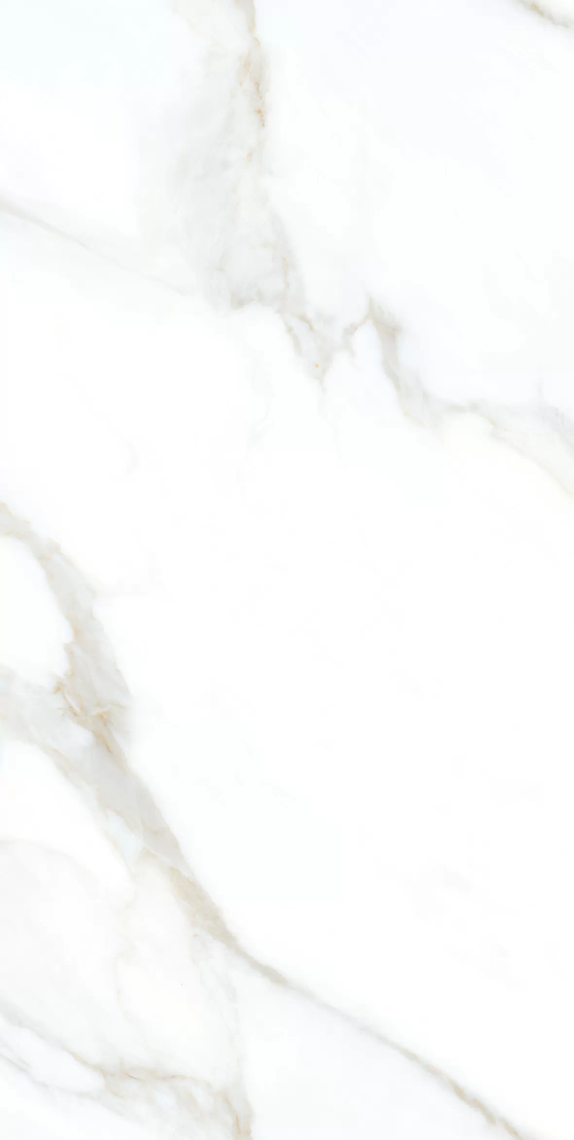 Керамогранит Clear White Grit Granula 60x120
