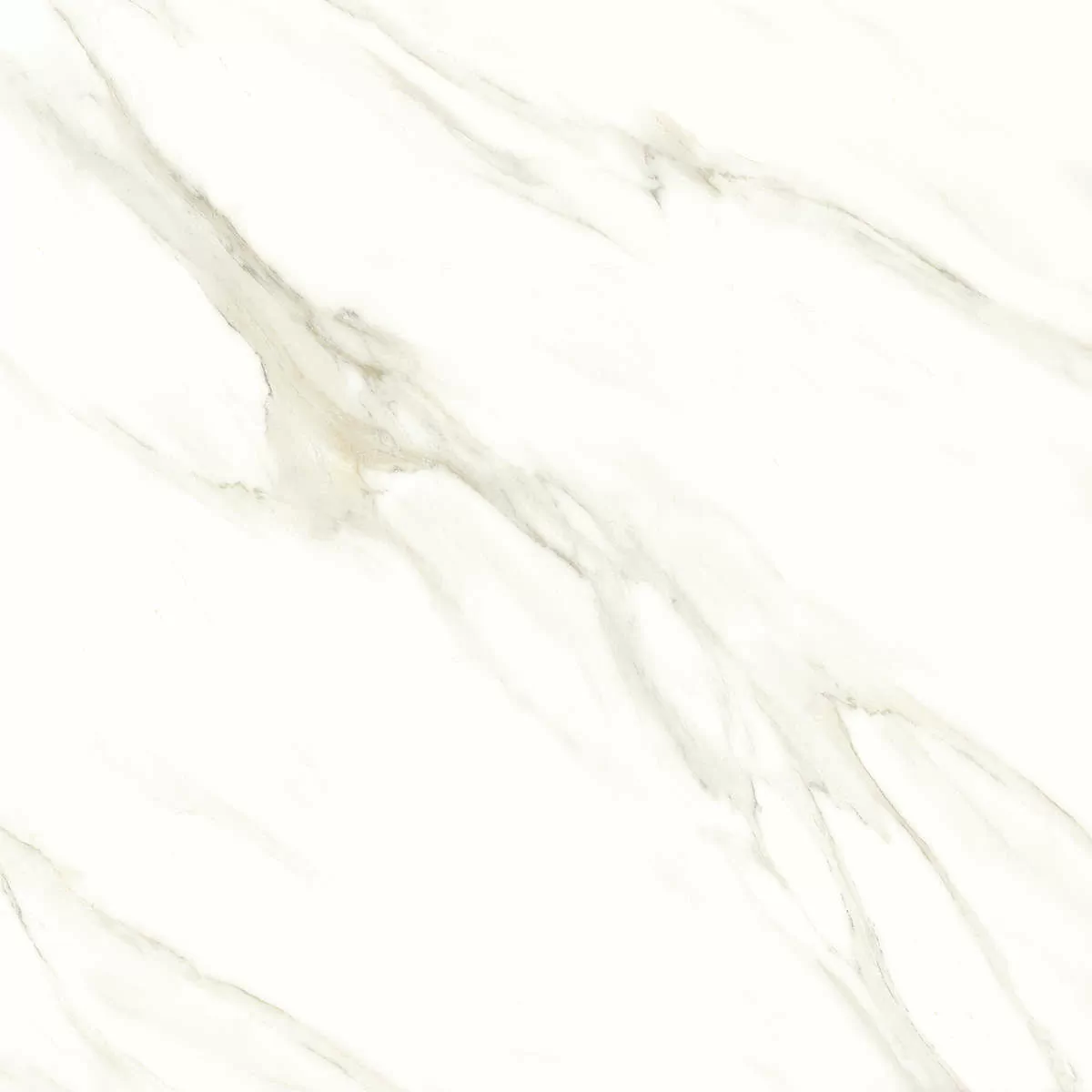 Керамогранит Cassini carrara PGVT 60x60