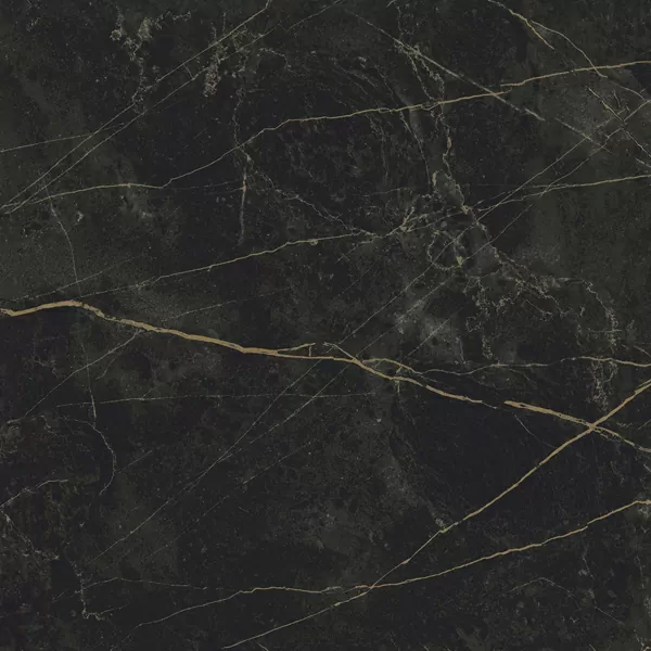 Керамогранит Granite SANDRA Black Olive / Гранит Сандра черно-оливковый LLR 60x60