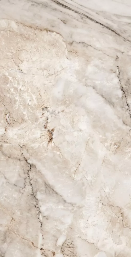 Керамогранит Paonazzato Natural Glossy 60х120