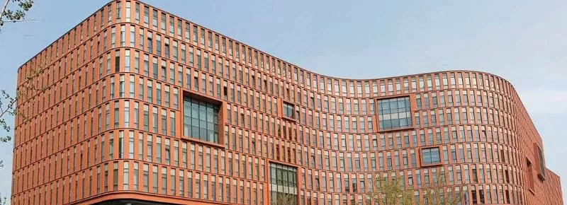 Clay brick