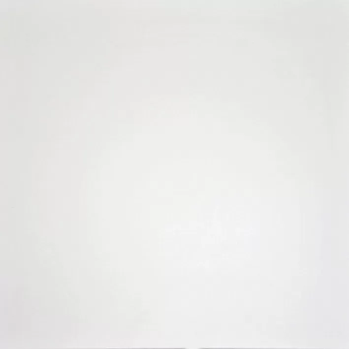 Керамогранит Domino Белый G-100/MR 60x60 матовый