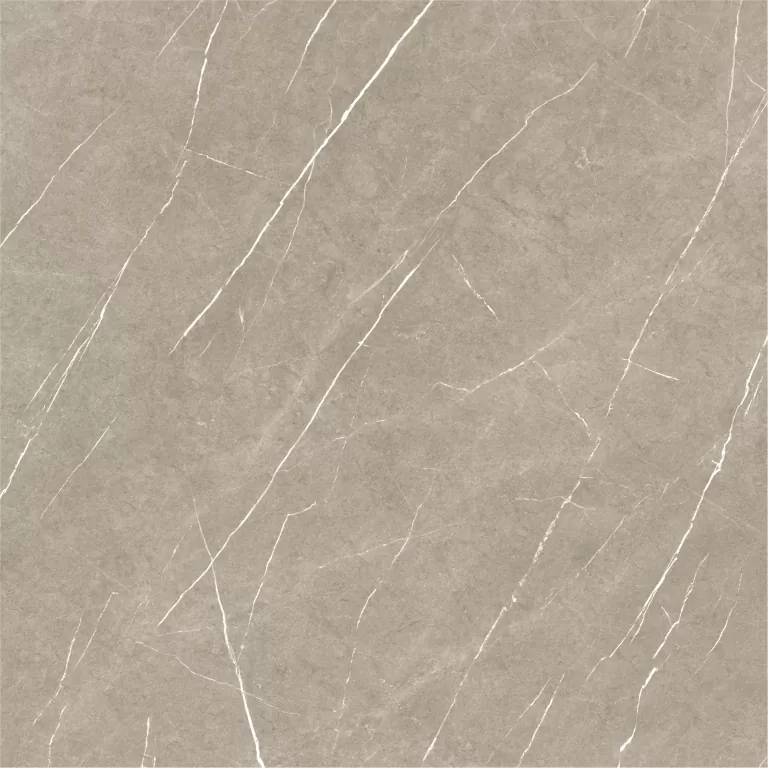 Керамогранит Eternal Taupe Natural 120x120