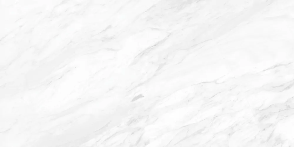 Керамогранит 17120 Classy Marble полированный белый ректификат 60x120