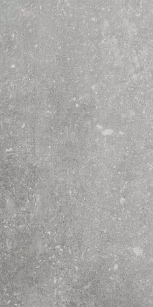 Керамогранит 1076235 Ardenne Grigio 20x40
