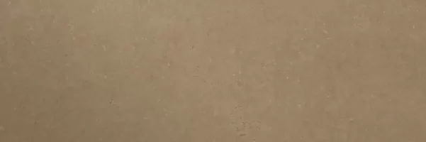Керамогранит CLUNY TILES NATURAL BOURGOGNE 300x100
