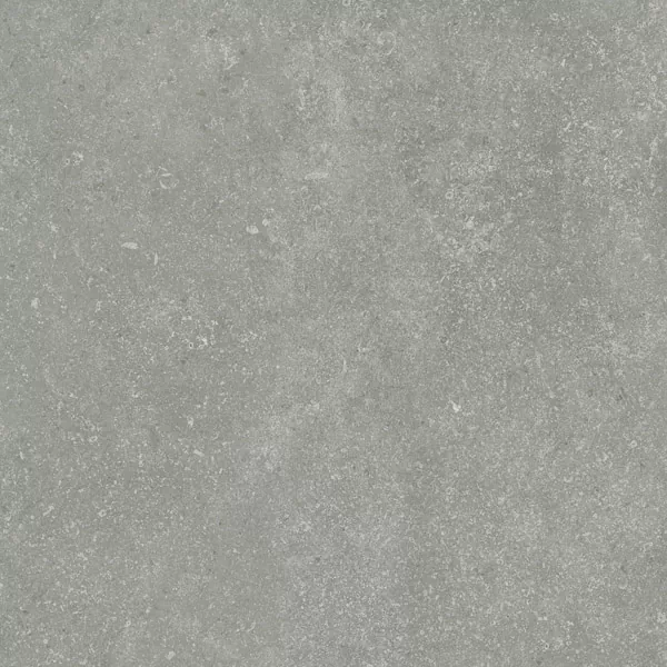 Керамогранит Granite Gloria Gray / Граните Глория Серый SR 60x60