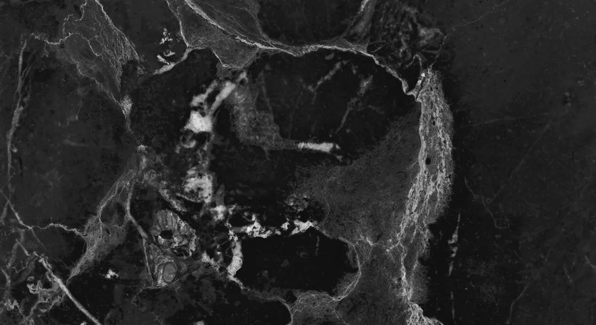 Керамогранит NR005 Dalim Black 60x30