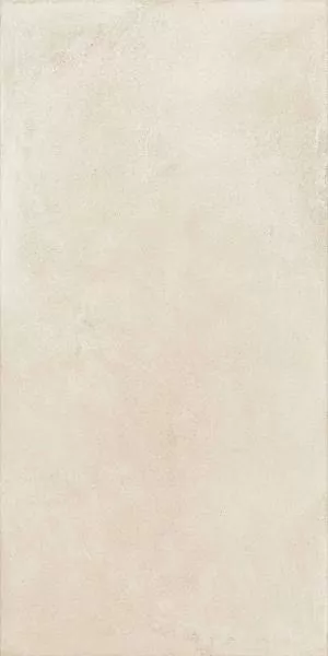 Керамогранит 610010002777 Snow 60x120