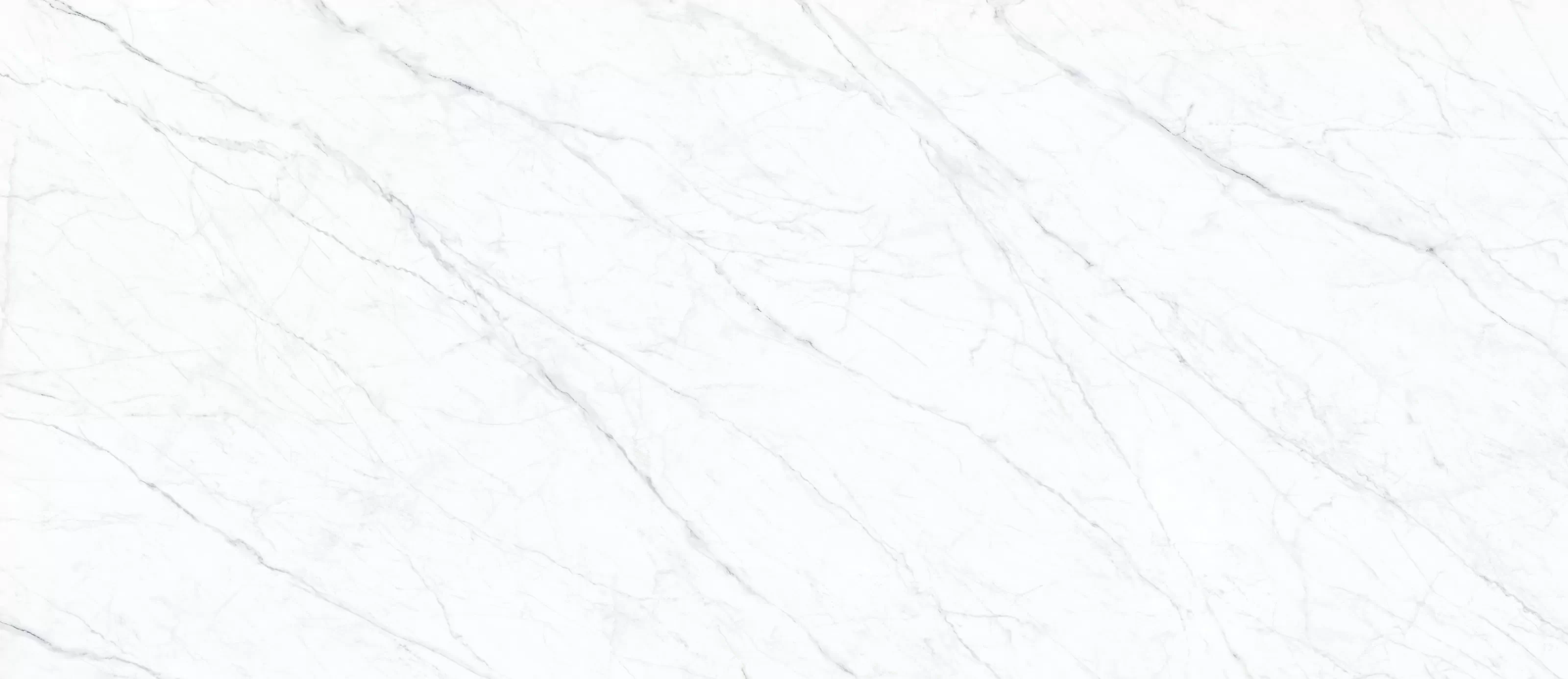 Керамогранит Carrara Twig White 120х278х6