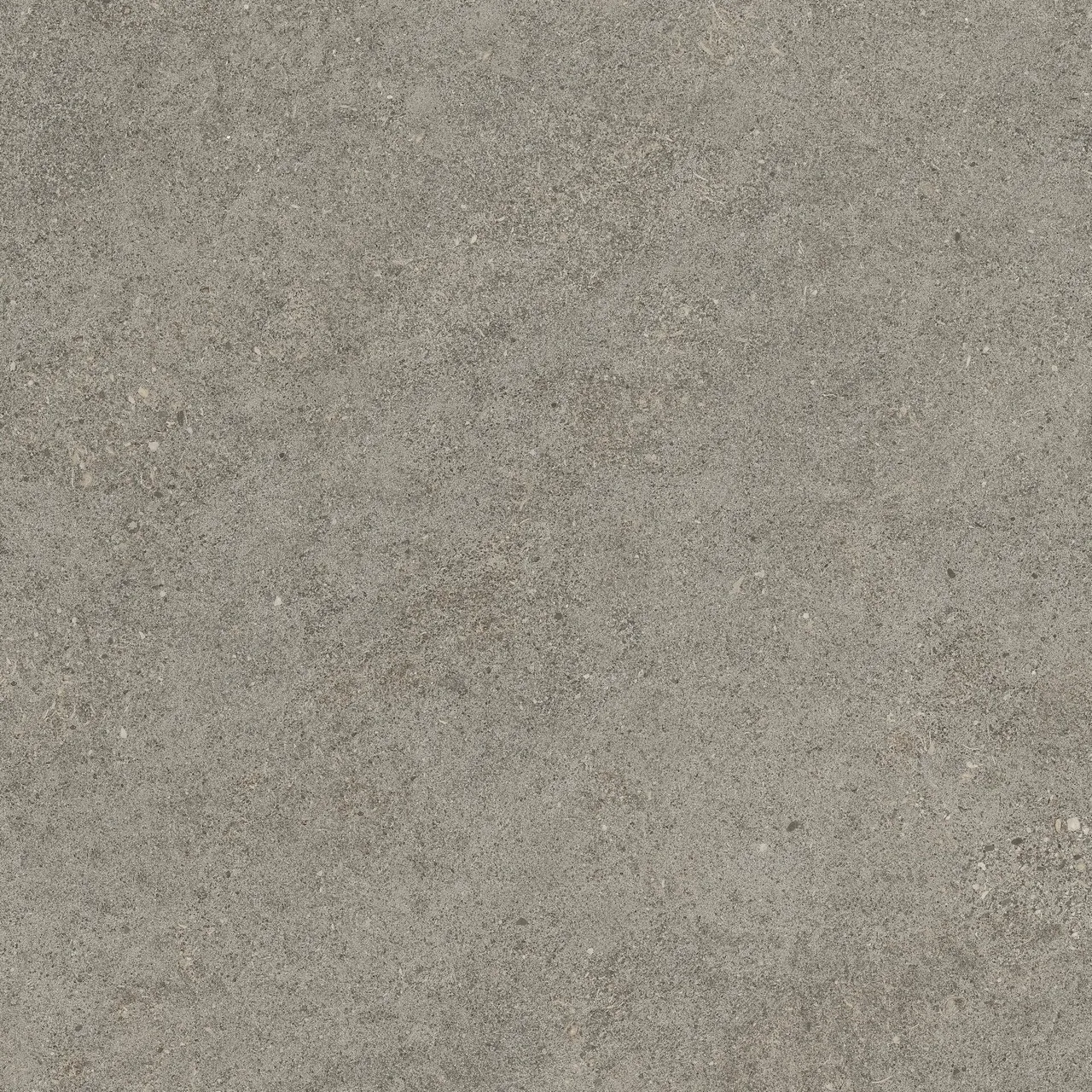 Керамогранит 610010005836 Forte dei Marmi Rock Lunar Grey Lastra 20mm 60x60