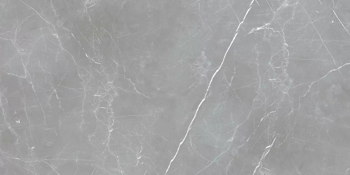 Керамогранит Arion Gray Dark 59.7х119.7