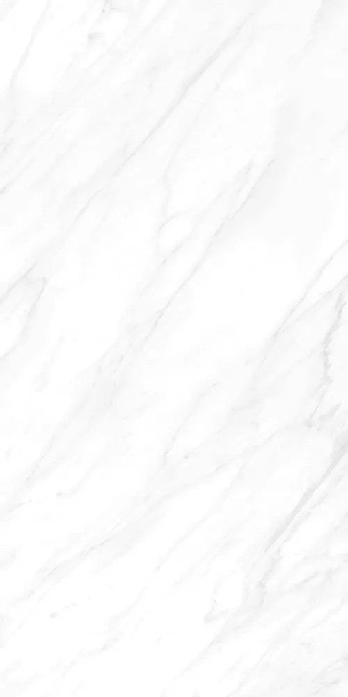 Керамогранит BHW-0022 Carrara Matt Grains Soft-Polished Mould 600x1200x10