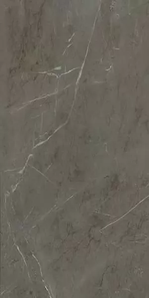 Керамогранит Stone Grey Antique 3D 60x120