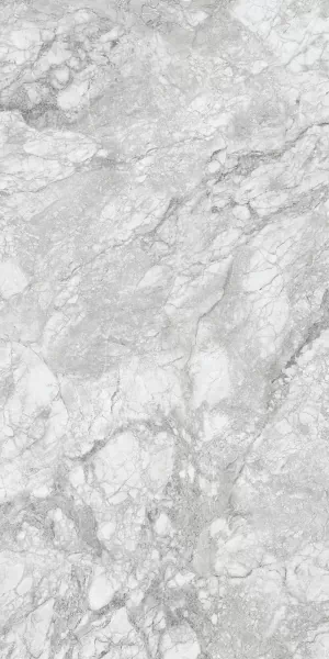 Керамогранит 230167 Polar Grey Polished 60x120