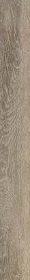 Керамогранит O-GWN-GGU114 Grandwood Natural коричневый 19.8x179.8