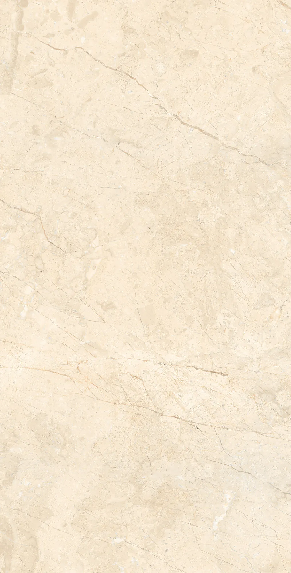 Керамогранит RT7016-A Marcus Cremano Matt Rustic 60x120