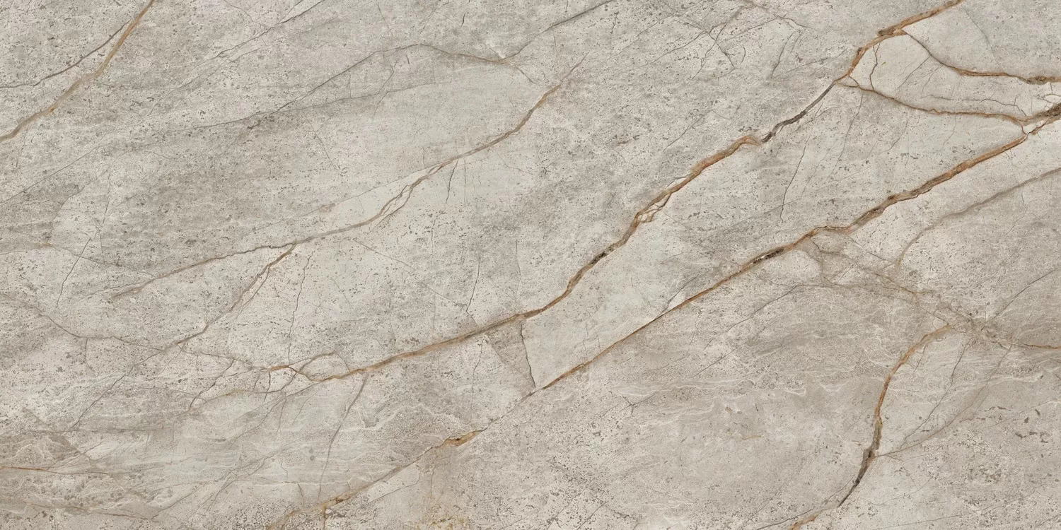 Керамогранит 610010002187 Empire Silver Root 60x120