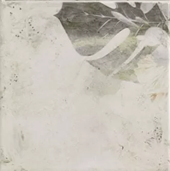 Плитка Tahiti White 20x20