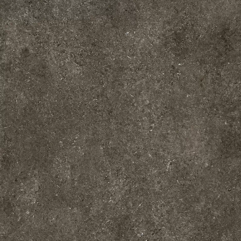 Керамогранит 768560 Sensi Brown Fossil Nat Ret 6mm 120x120