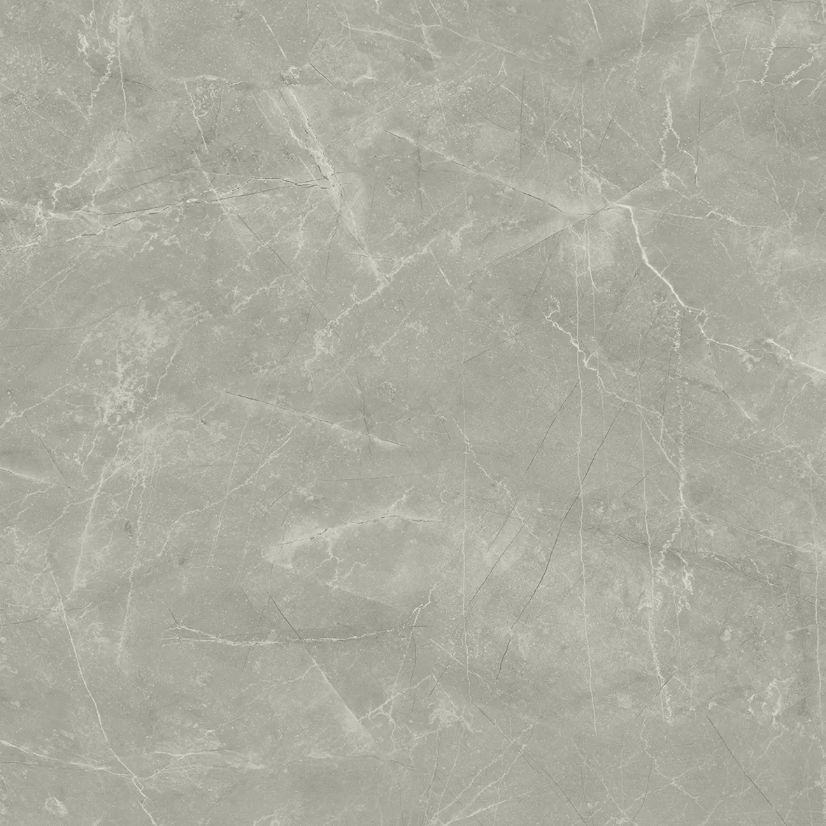 Керамогранит Wolf Grey 80х80