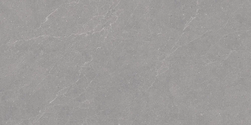 Керамогранит Elenta Grey Carving 60x120