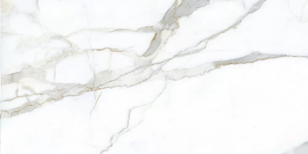 Керамогранит Pallisandro Classic / Паллисандро классик MR 120x60