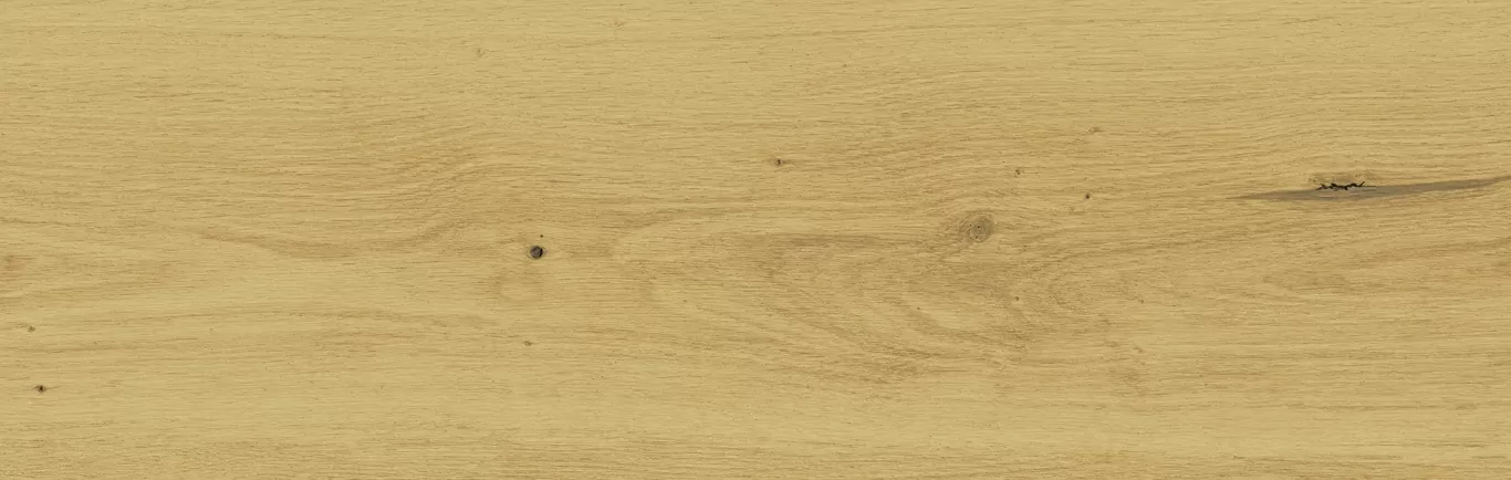 Керамогранит C-SW4M012D Sandwood бежевый 18.5x59.8