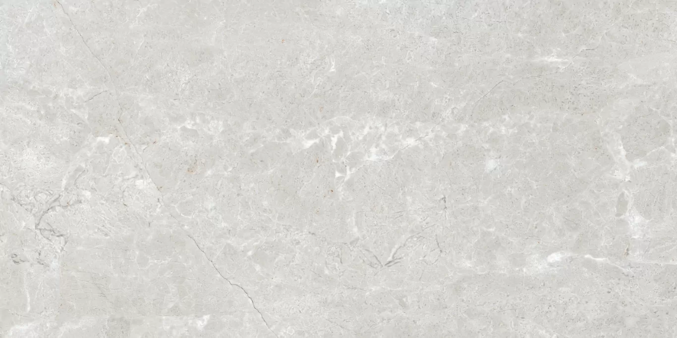 Керамогранит Bellisimo Smoke 120x60