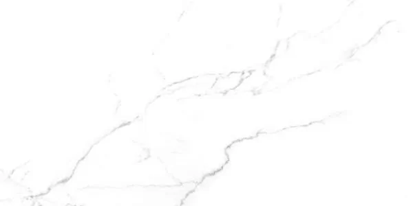 Керамогранит SG50002420R Discovery Blanco белый 60х119,5