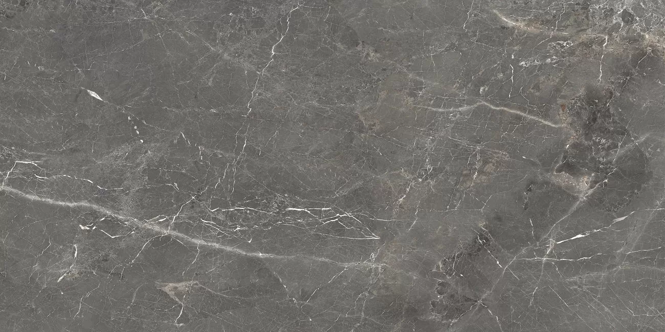 Керамогранит Tulip Grey Glossy 60x120