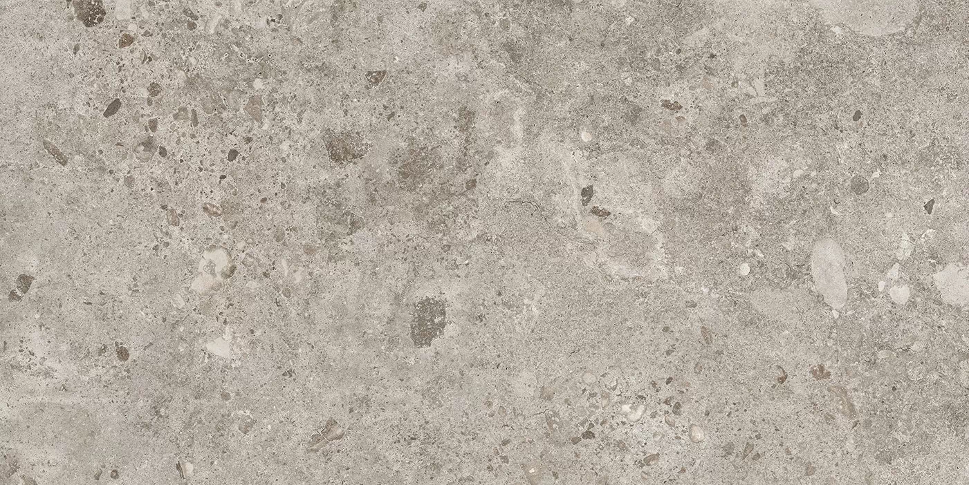 Керамогранит 44BZP39 Bierzo Gris Seda 60х120