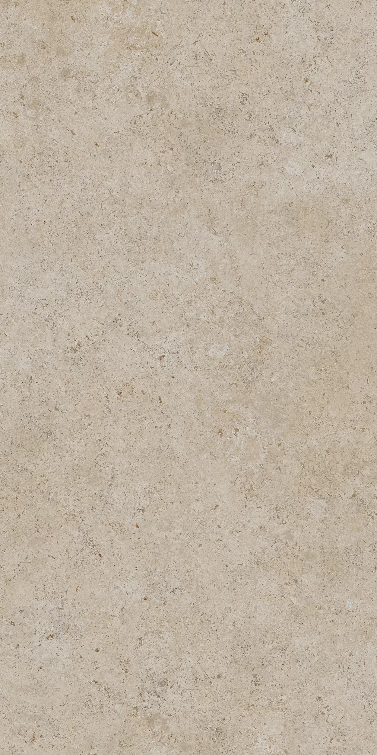 Керамогранит DD590500R Про Лаймстоун АТ бежевый темный натуральный обрезной R10 119,5х238,5